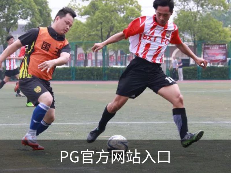了解PG官方网站入口